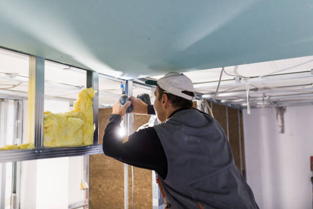 Best Residential Insulation in Navarre, FL