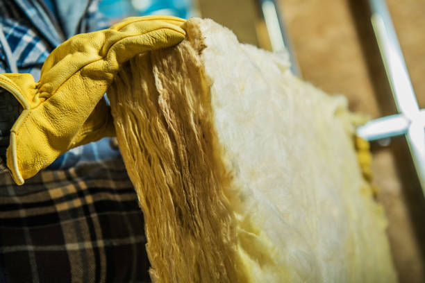 Best Insulation Installation Services in Navarre, FL